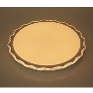CX341 Ceiling Light