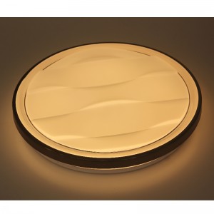 CX344 Ceiling Light