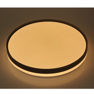 CX351 Ceiling Light