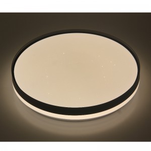 CX351 Ceiling Light