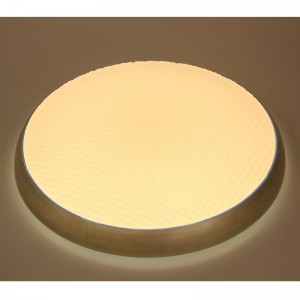 CX352 Ceiling Light