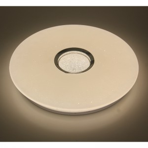 CX359 Ceiling Light