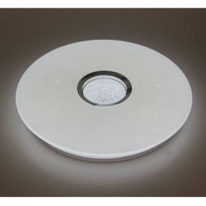 CX359 Ceiling Light