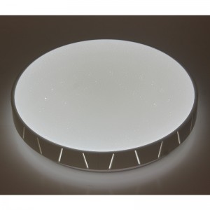 CX360 Ceiling Light