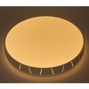 CX360 Ceiling Light