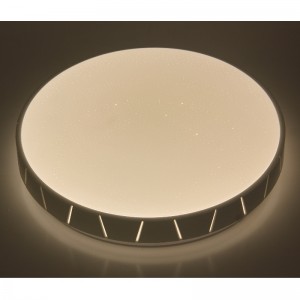 CX360 Ceiling Light