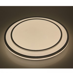 CX362 Ceiling Light