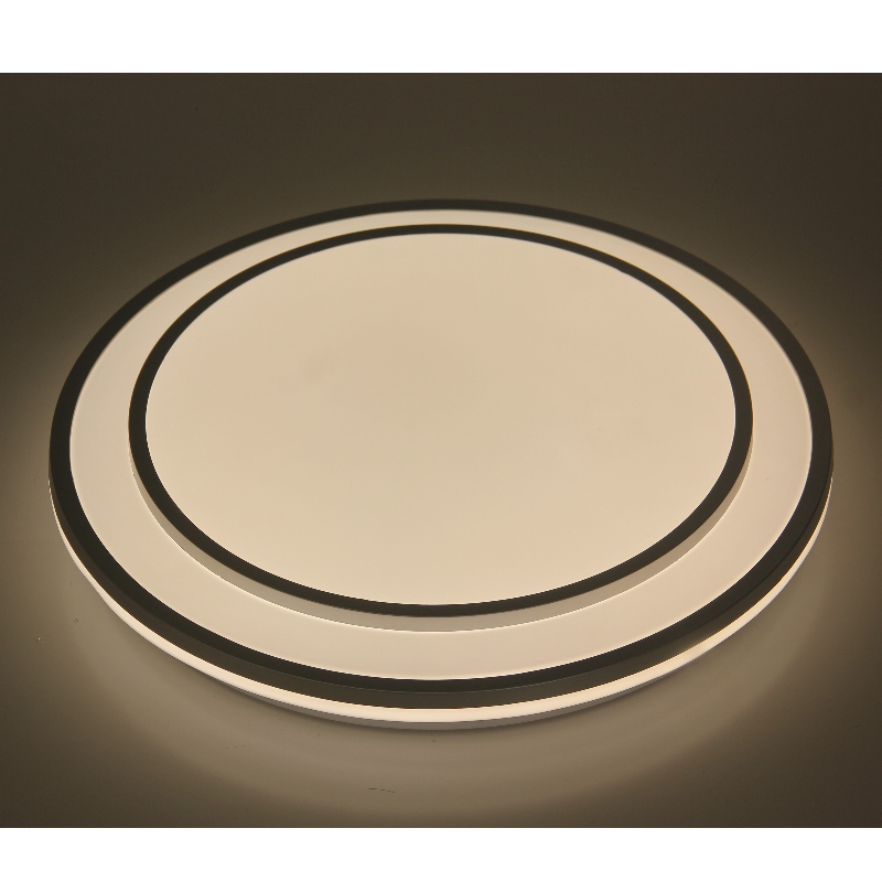 CX362 Ceiling Light