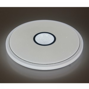 CX366 Ceiling Light