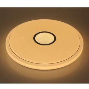 CX366 Ceiling Light