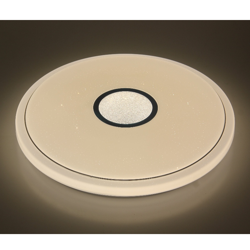 CX366 Ceiling Light