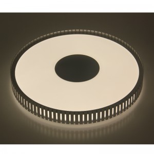 CX367 Ceiling Light