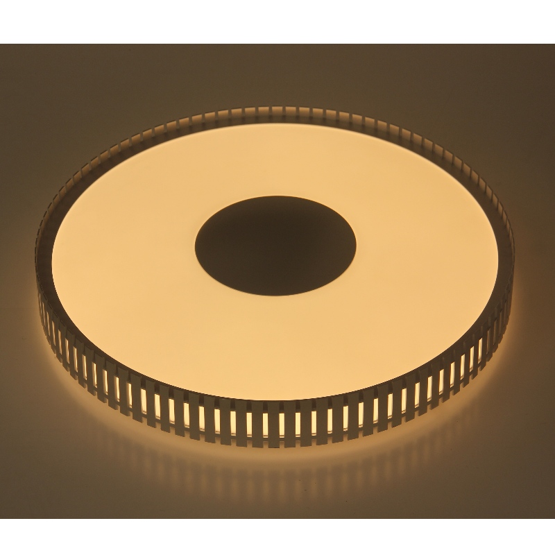 CX367 Ceiling Light