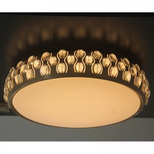CX373 Ceiling Light