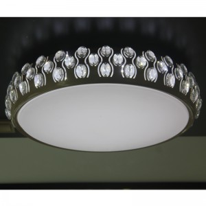 CX373 Ceiling Light