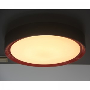 CX374 Ceiling Light