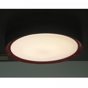 CX374 Ceiling Light