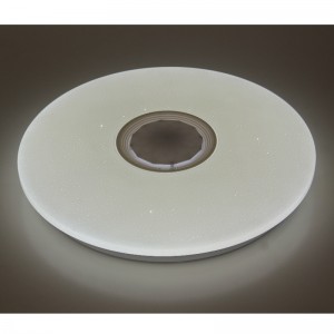 M107 Ceiling Light