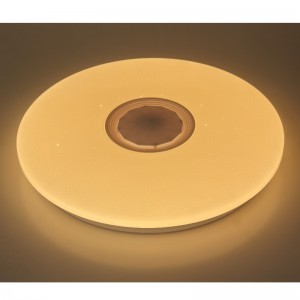 M107 Ceiling Light