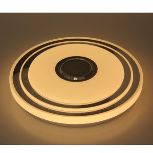 MU109 Ceiling Light