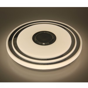 MU109 Ceiling Light