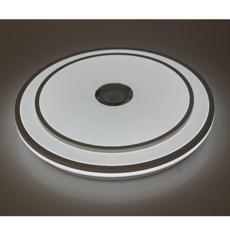 MU110 Ceiling Light