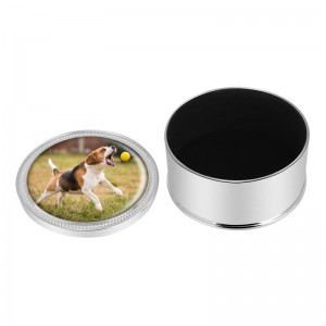 Metallurna för hundaska