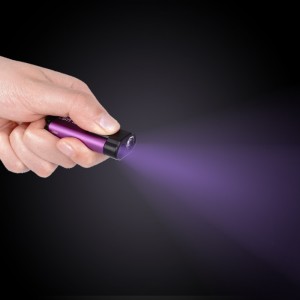 UVC desinfektion nyckelring ficklampa