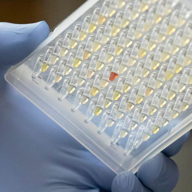 Forskare tittar på spridning av Oregon Covid-19 variant