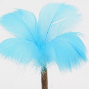 Cat Mint tumbler lollipop