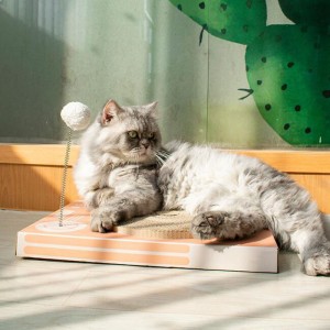 Cat Scratch Board kostym