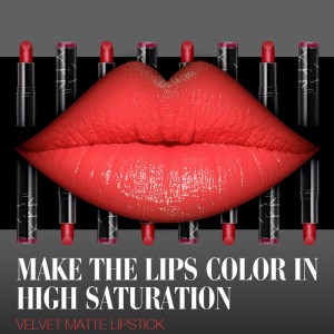 Långvarig privat etikett läppstift