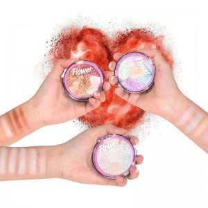 Highlighter Powder Makeup Private Label