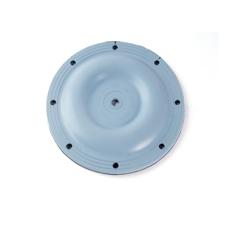 Tillverkare Pneumatisk Pump Gummimembran PTFE Membran För Regulator Pneumatiska Tillbehör Delar