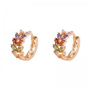 Europeisk och amerikansk mode personlighet blad mässing micro-inlaid zircon örhängen kvinnlig koreanska temperament örhängen metall kall vind örhängen