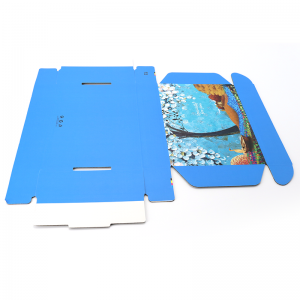 Tuck Prenumeration Sko Förpackning Utskrift Färgad Korrugerad Pappers Frakt Blå Custom Logo Mailer Box