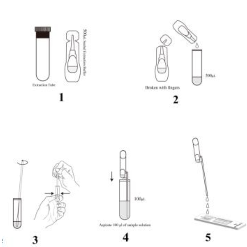 SARS-COV-2 Antigen Rapid Test Kit (Time-löst fluorescens)