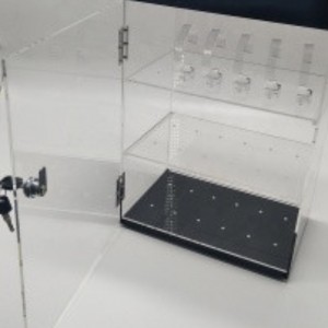 Acrylic Watch Display