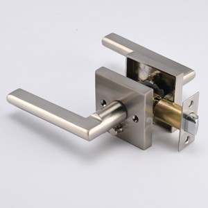 S7501 Contemporary Privacy Door Spake Door Handle utannycklar