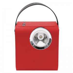 FB-BS5060 Trä Bluetooth-högtalare med LED-fackla