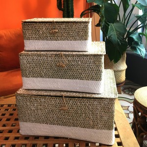 Tångvävnadslåda med täckt lagring