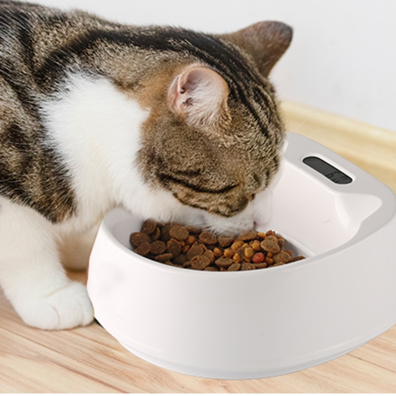 450 ml Smart Feeding Pet Bowl