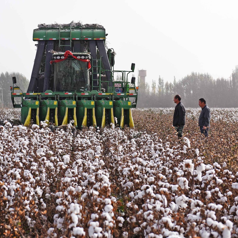 Levis slutar BCI Board över Xinjiang