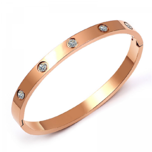 Färskt kallt lufttitan stålarmband