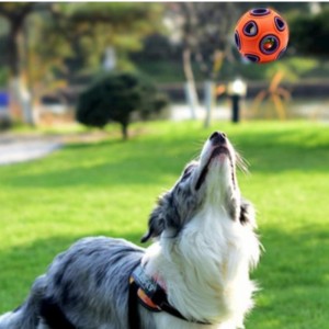 Ledde flytande hundleksaker