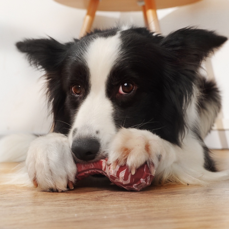 Super Chewing Bone Dog Toy