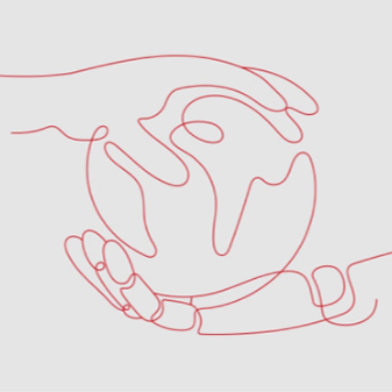 År 2021 släpptes världens ledande Internet-teknikprestationer, Huawei Hongmun och andra utvalda