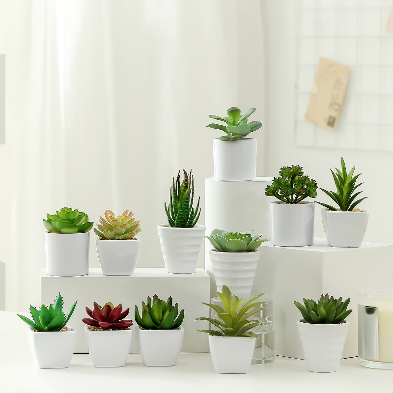 Hot Sale Artificial Succulent i melaminpott för att sälja