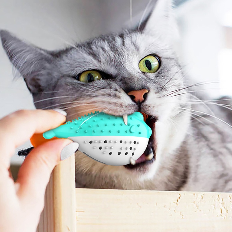 Furjoyz grossist roliga husdjur leksaker tandborste interaktiv leksak bärbar katt intelligent ren tänder gummi catnip katt leksak