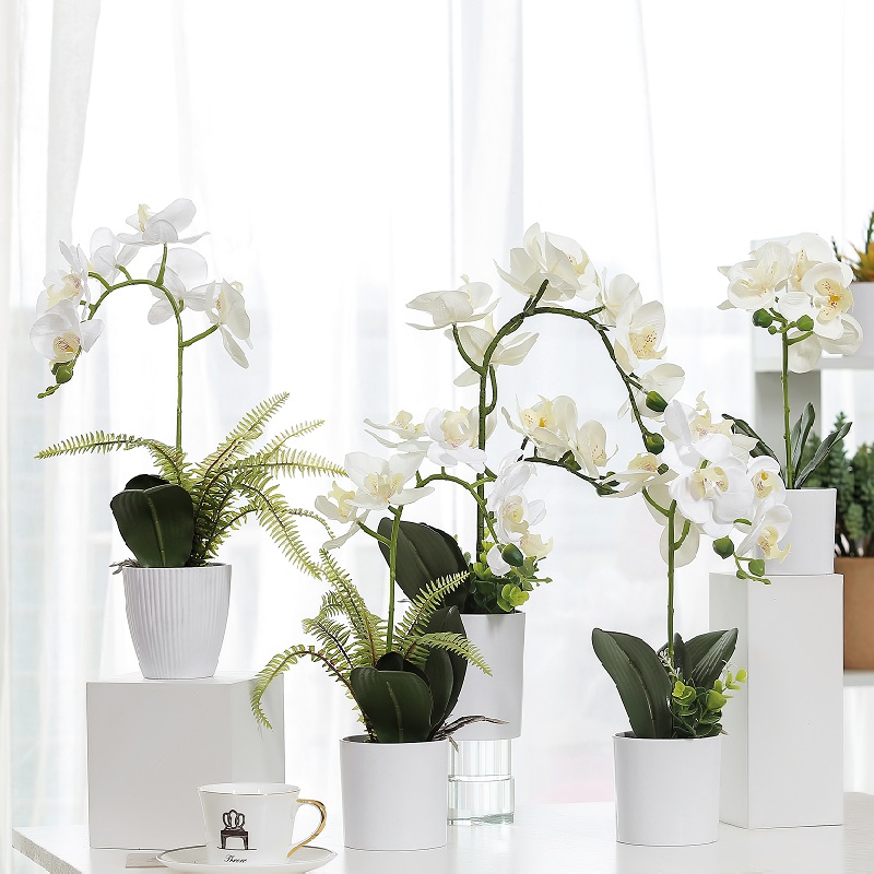 Hot sälja riktig touch potted artificiell orkidé